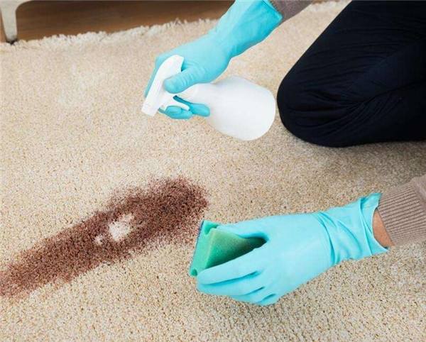南昌保洁公司介绍家庭地毯的清洗保洁
