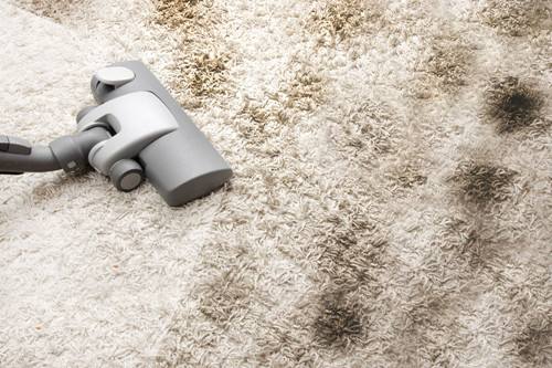 南昌保洁公司分享地毯特殊污渍处理方法