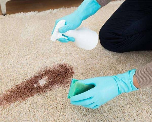 南昌保洁公司告诉你地毯应该怎么定期护理